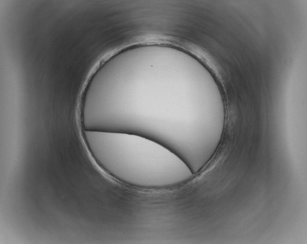 X0000112361429200908131225