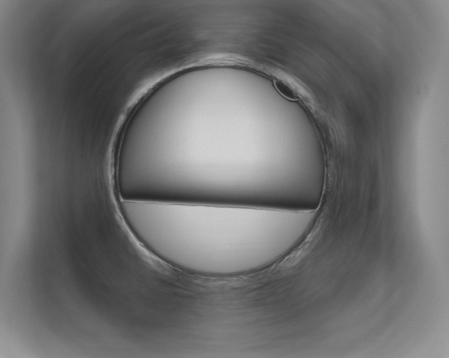X0000112361430200908131225