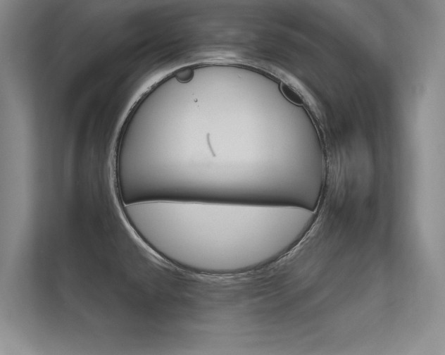 X0000112361432200908131225