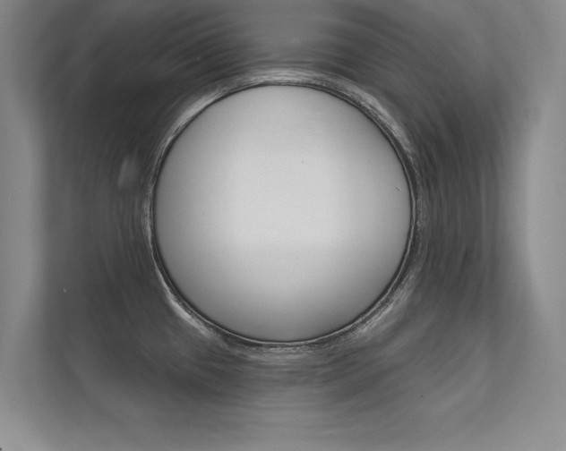X0000112361433200908131225