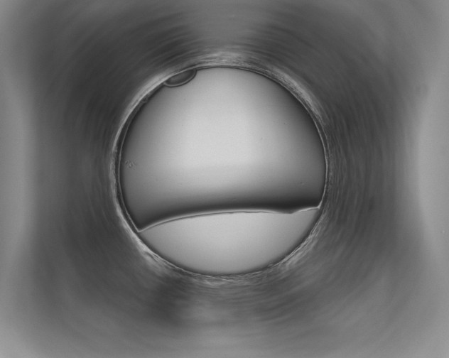 X0000112361434200908131225
