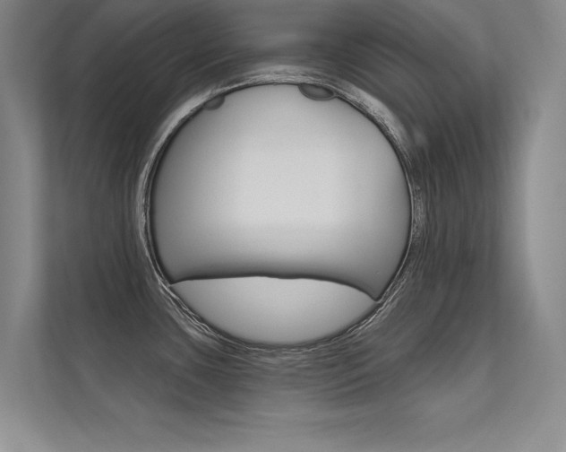 X0000112361435200908131225