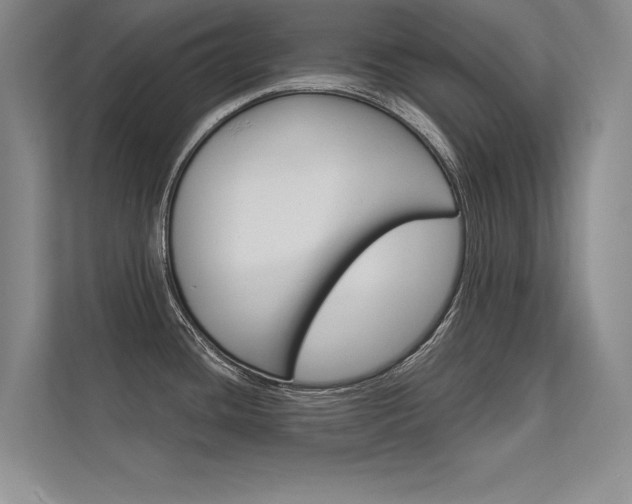 X0000112361436200908131225