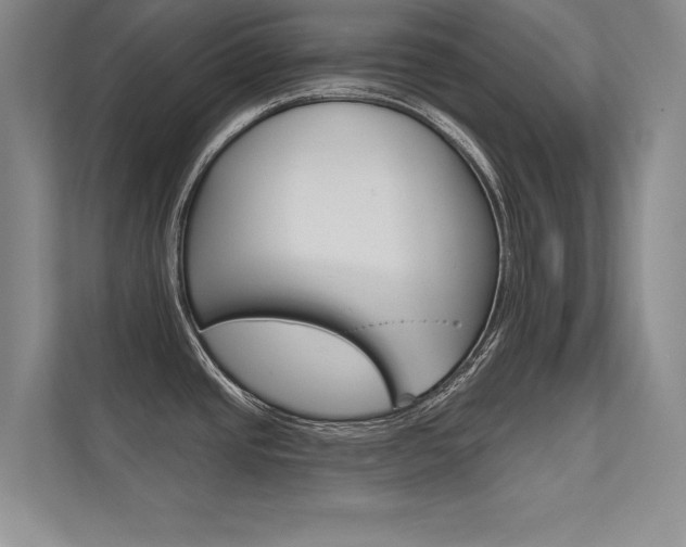 X0000112361437200908131225