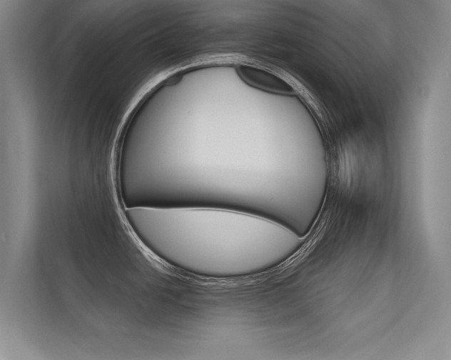 X0000112361438200908131225