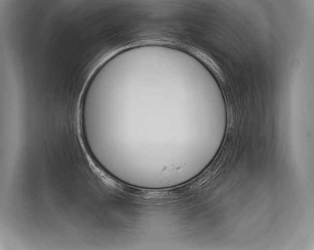 X0000112361439200908131225