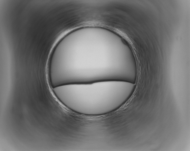 X0000112361440200908131225