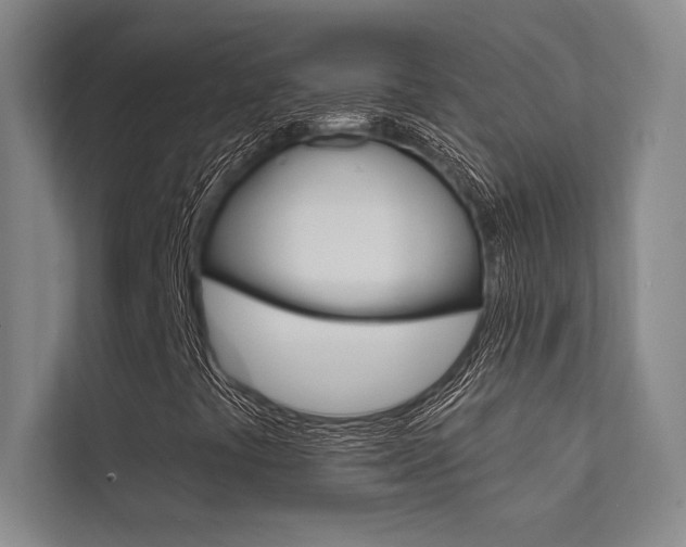 X0000112361441200908131225