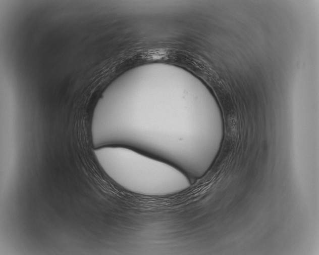 X0000112361442200908131225