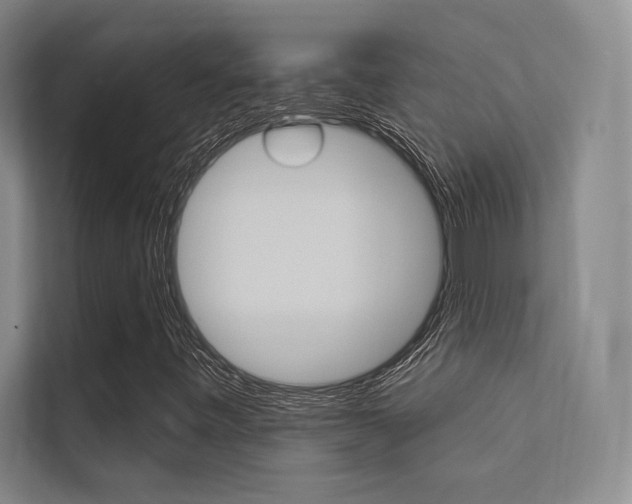 X0000112361443200908131225