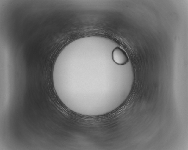 X0000112361444200908131225