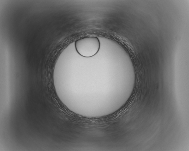 X0000112361445200908131225