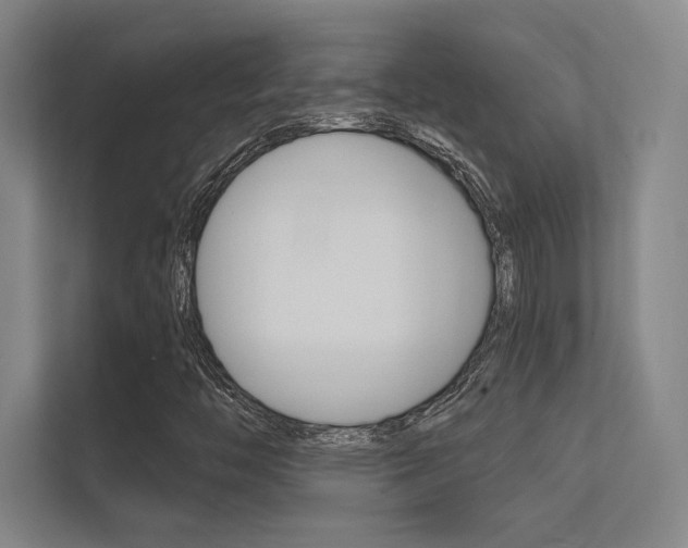 X0000112361446200908131225