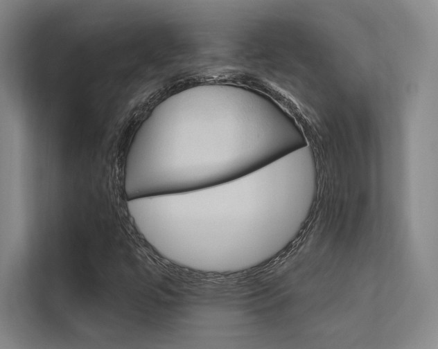 X0000112361447200908131225