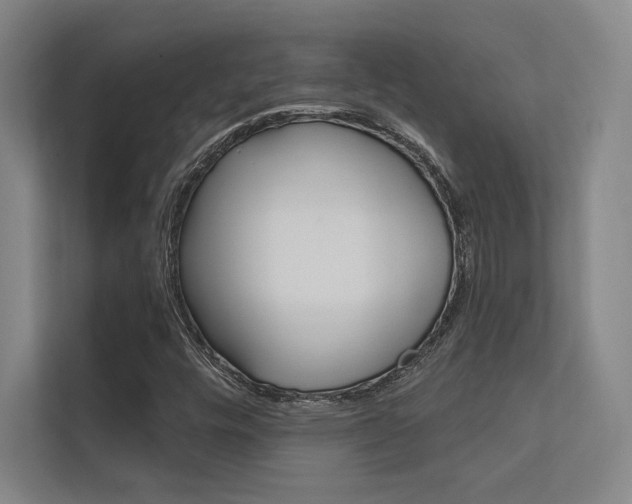 X0000112361448200908131225