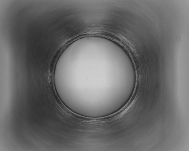 X0000112361449200908131225