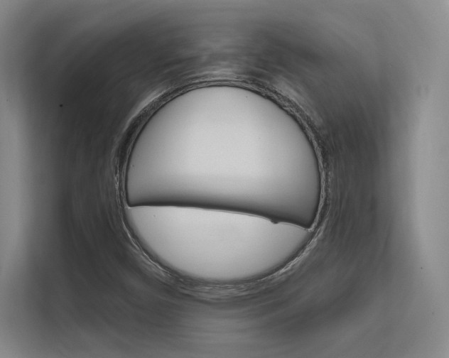 X0000112361450200908131225