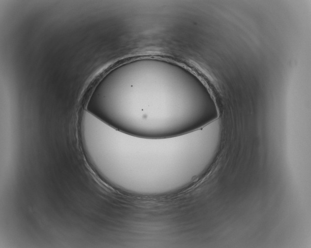 X0000112361452200908131225