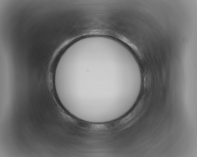 X0000112361454200908131225