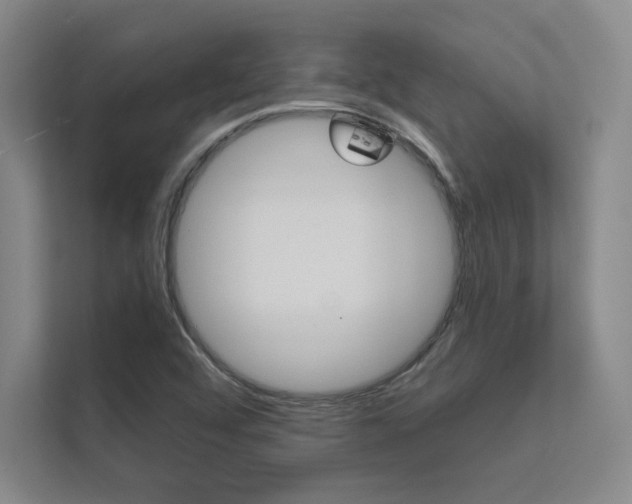 X0000112361456200908131225