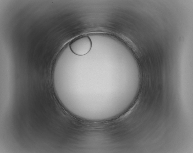 X0000112361457200908131225