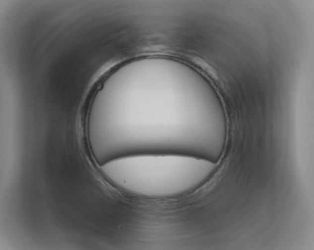 X0000112361458200908131225
