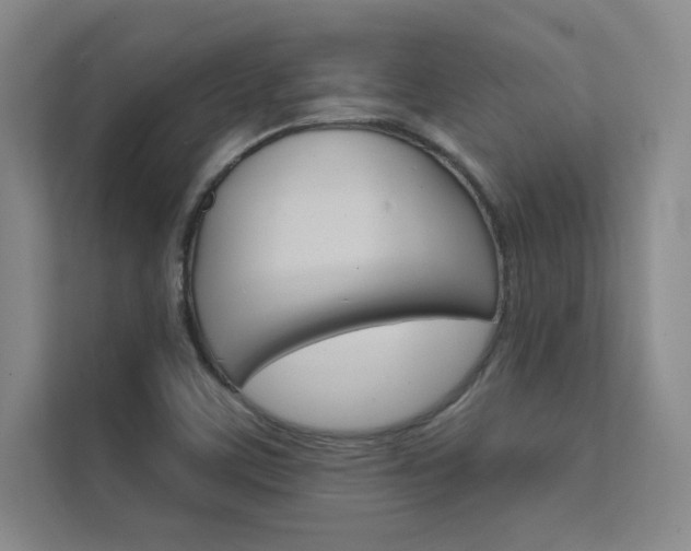 X0000112361459200908131225