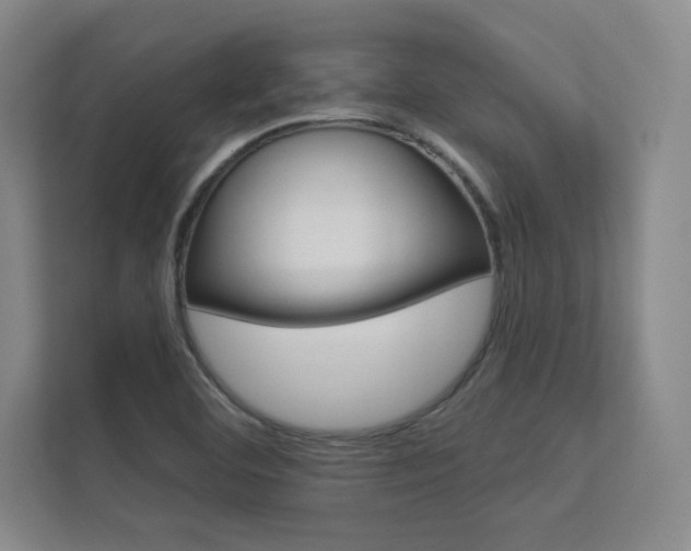 X0000112361460200908131225