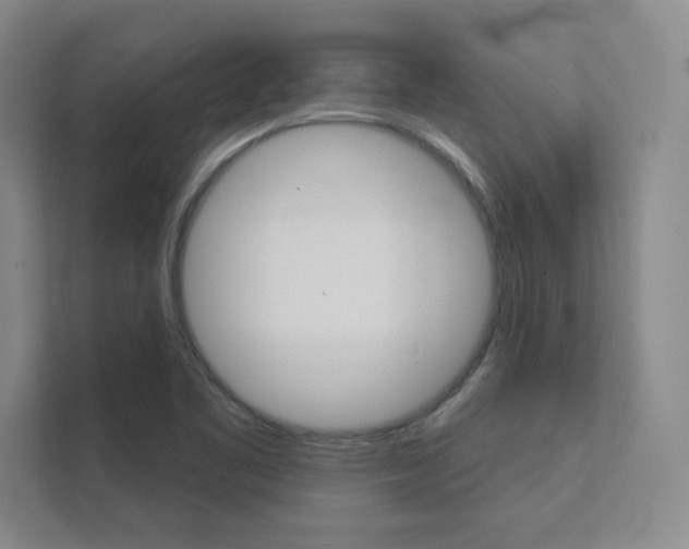 X0000112361461200908131225