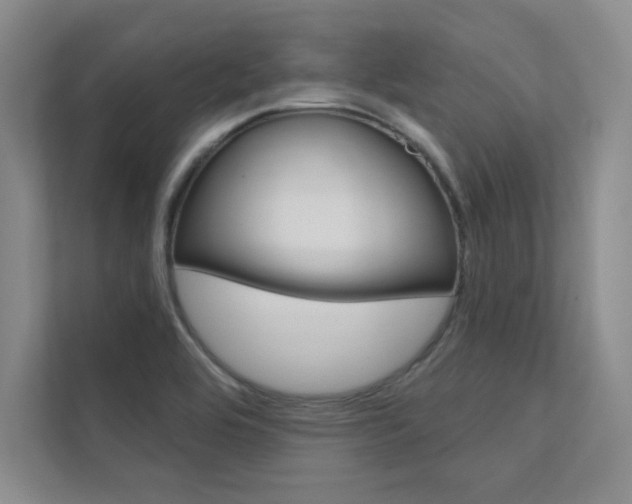 X0000112361464200908131225