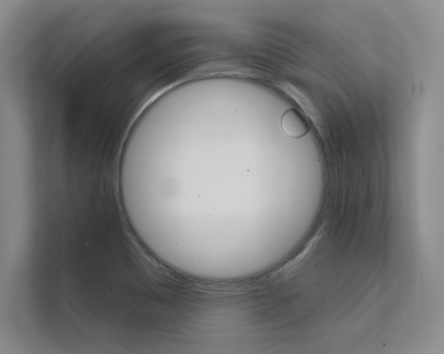 X0000112361465200908131224