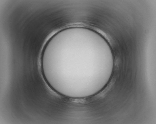 X0000112361466200908131224