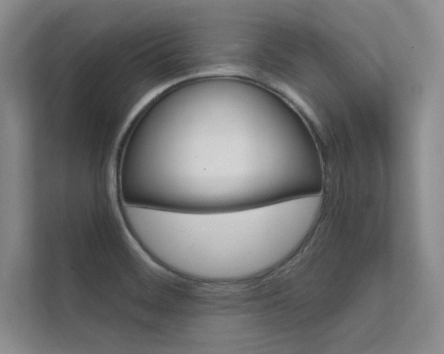 X0000112361468200908131224