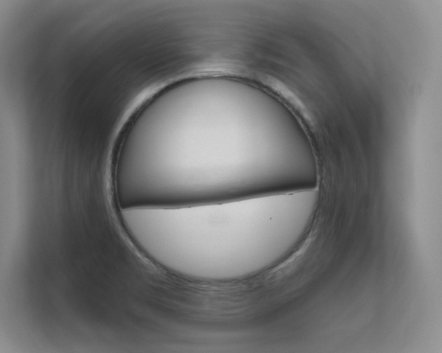 X0000112361469200908131224