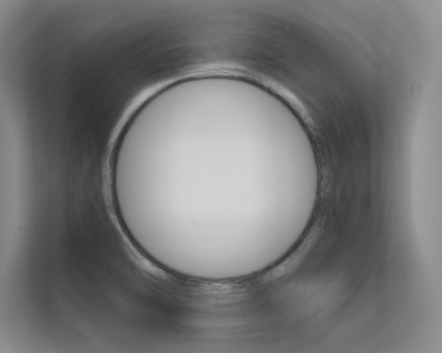 X0000112361470200908131224