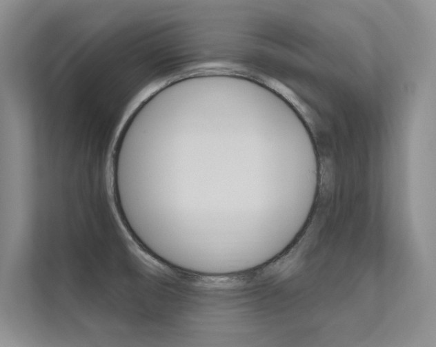 X0000112361474200908131224