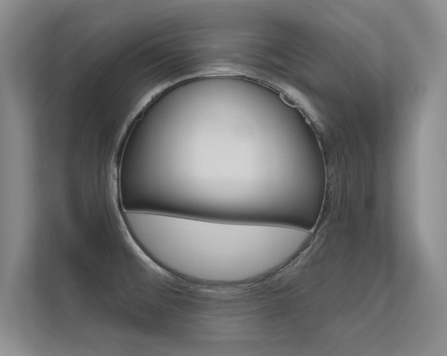 X0000112361476200908131224