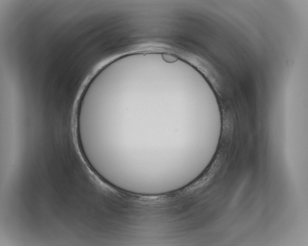 X0000112361478200908131224