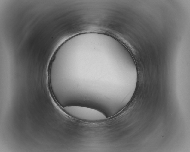 X0000112361479200908131224