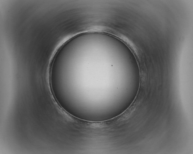 X0000112361480200908131224