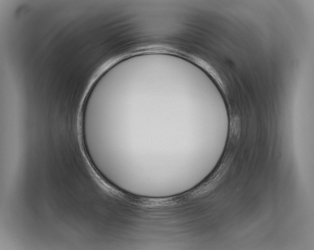 X0000112361482200908131224