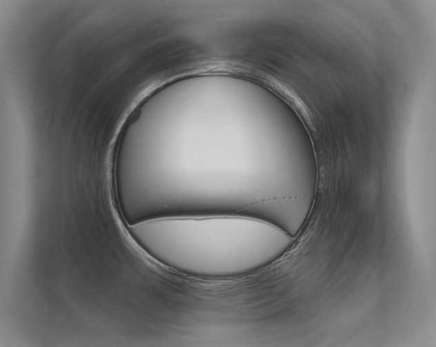 X0000112361483200908131224
