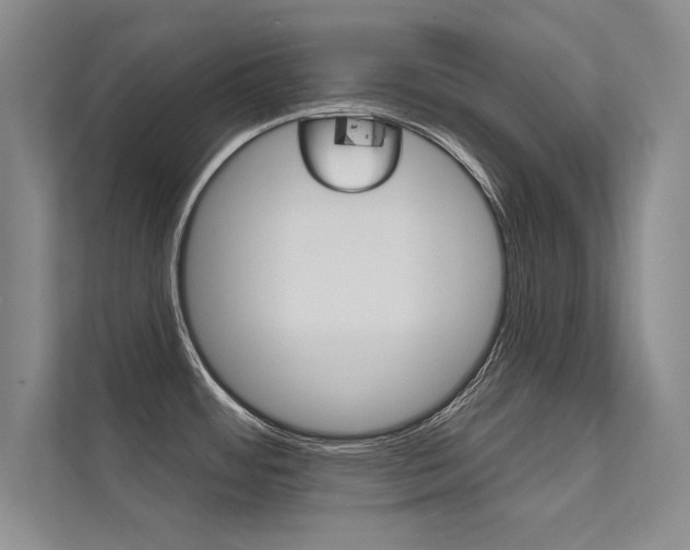 X0000112361484200908131224