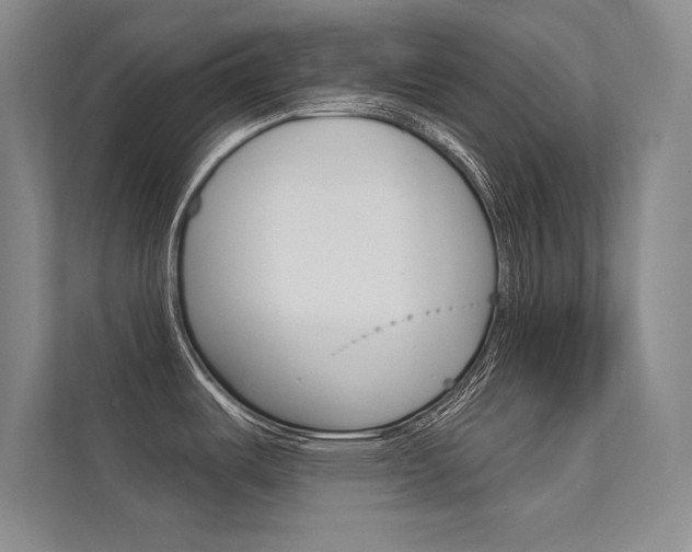 X0000112361487200908131224