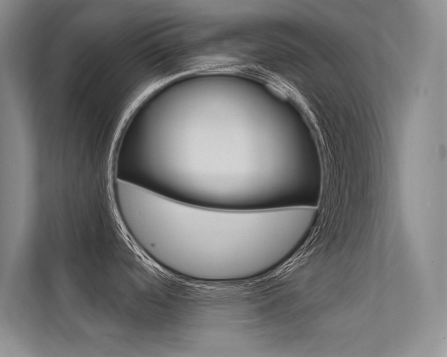 X0000112361488200908131224