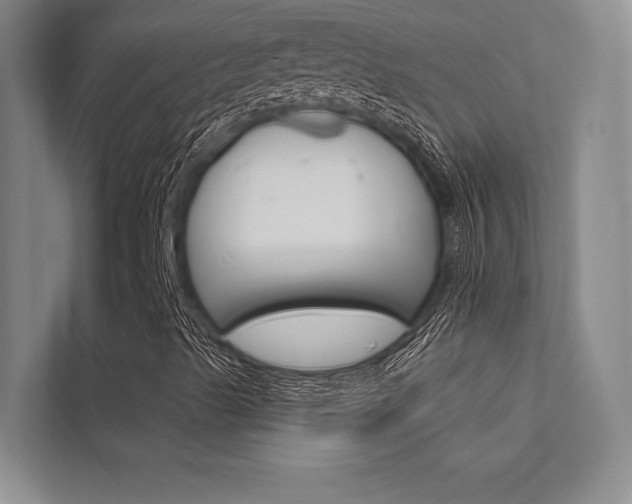 X0000112361489200908131224