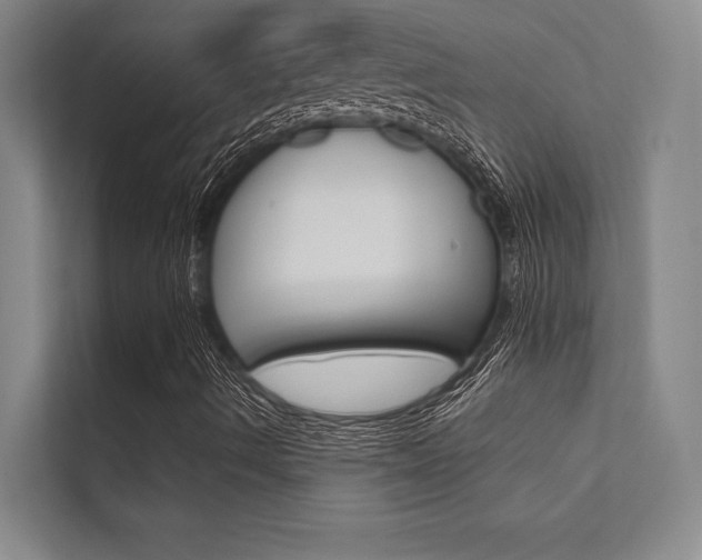 X0000112361490200908131224