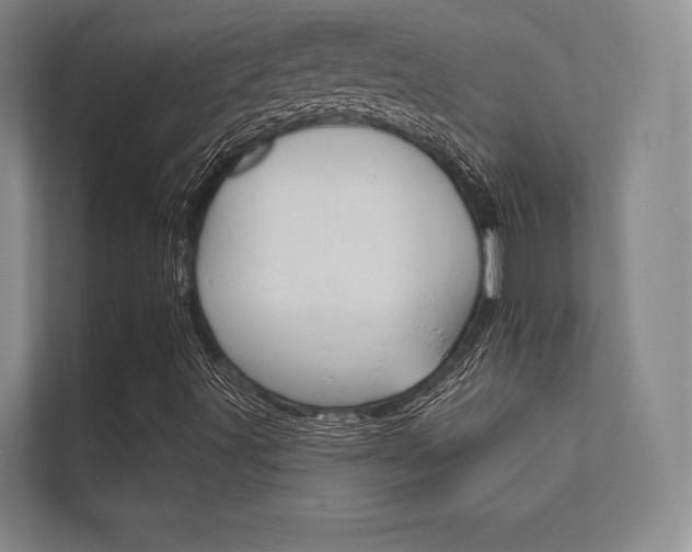 X0000112361491200908131224