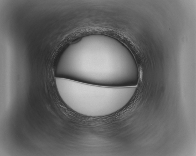 X0000112361492200908131224