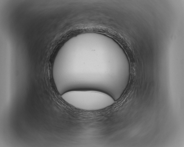 X0000112361493200908131224